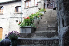 Tornano i fiori a San Pellegrino