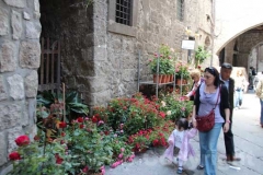 Tornano i fiori a San Pellegrino
