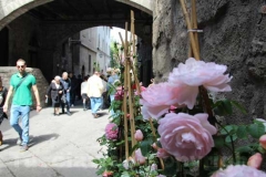 Tornano i fiori a San Pellegrino