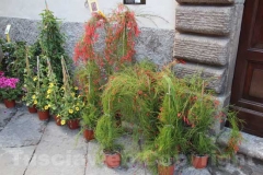 Tornano i fiori a San Pellegrino
