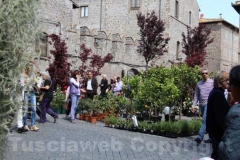 Tornano i fiori a San Pellegrino