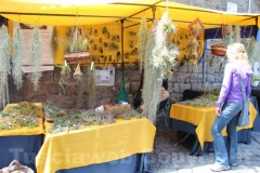 Tornano i fiori a San Pellegrino