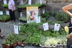 Tornano i fiori a San Pellegrino