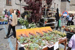 Tornano i fiori a San Pellegrino