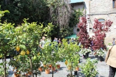 Tornano i fiori a San Pellegrino