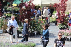 Tornano i fiori a San Pellegrino