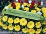 I funerali del professor Corrado Buzzi