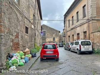 I funerali di Delfino Santaniello