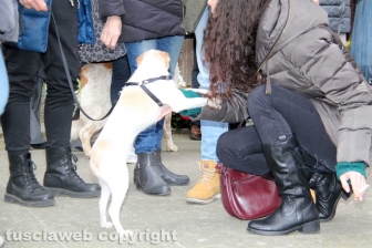 I funerali di Elvia Viglino