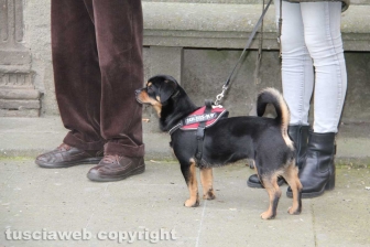I funerali di Elvia Viglino
