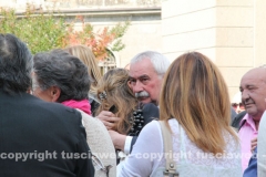 I funerali di Oreste Massolo