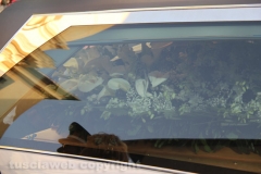 I funerali di Selenia Quintarelli