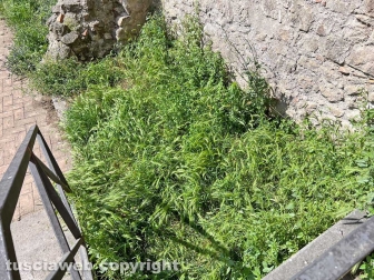 I giardinetti di palazzo dei Priori