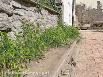 I giardinetti di palazzo dei Priori