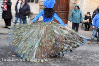 Carnevale di Ronciglione 2016 - I pavoni