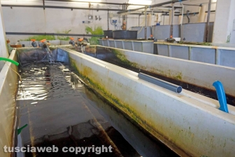 I laboratori delle Saline