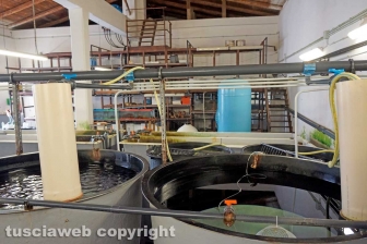 I laboratori delle Saline