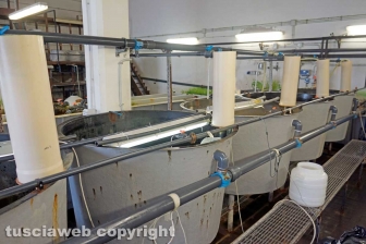 I laboratori delle Saline