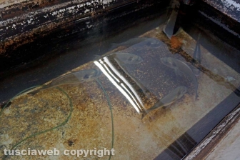 I laboratori delle Saline