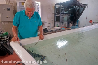 I laboratori delle Saline