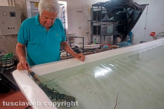 I laboratori delle Saline