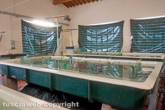 I laboratori delle Saline