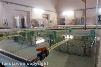 I laboratori delle Saline