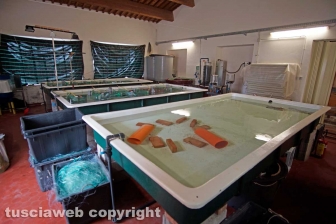 I laboratori delle Saline