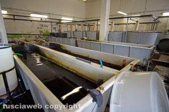 I laboratori delle Saline