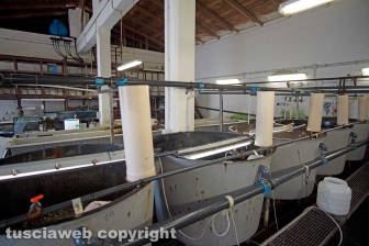 I laboratori delle Saline