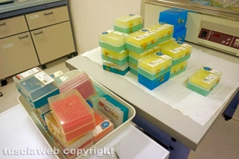I laboratori delle Saline