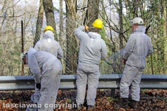 I lavori di sistemazione della Chemical city