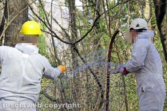 I lavori di sistemazione della Chemical city