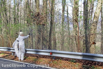 I lavori di sistemazione della Chemical city