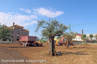 I lavori lungo la Cassia nord