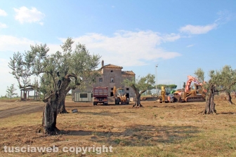 I lavori lungo la Cassia nord