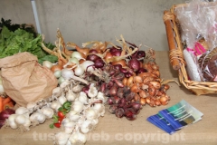 I mercati di Campagna amica a piazza del Comune