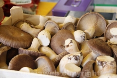 I mercati di Campagna amica a piazza del Comune