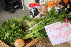 I mercati di Campagna amica a piazza del Comune