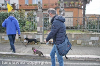 I mitici bassotti sfilano per le vie di Bolsena