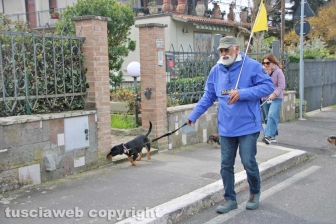 I mitici bassotti sfilano per le vie di Bolsena