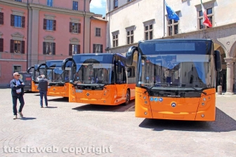 Viterbo - I nuovi autobus della Francigena