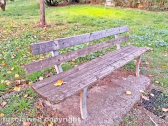 Pilastro - Il parco della pista ciclabile
