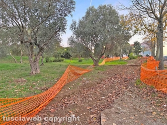 Pilastro - Il parco della pista ciclabile
