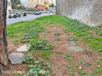 Il parco Melvin Jones