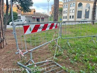 Il parco Melvin Jones