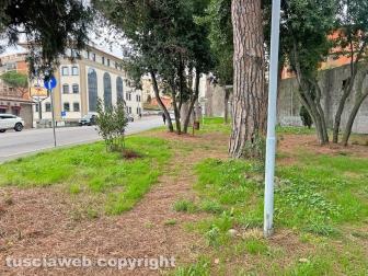 Il parco Melvin Jones