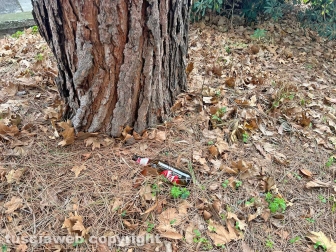 Il parco tra via Vanni e via del Massaro