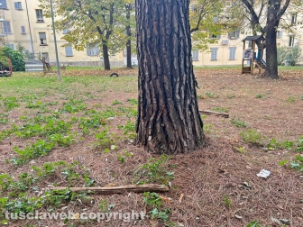 Il parco tra via Vanni e via del Massaro
