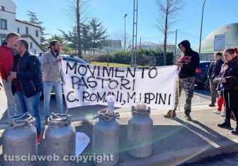 Viterbo - La protesta dei pastori sul prezzo del latte